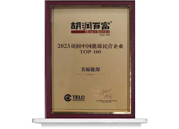 2023�����й���Դ��Ӫ��ҵTOP100